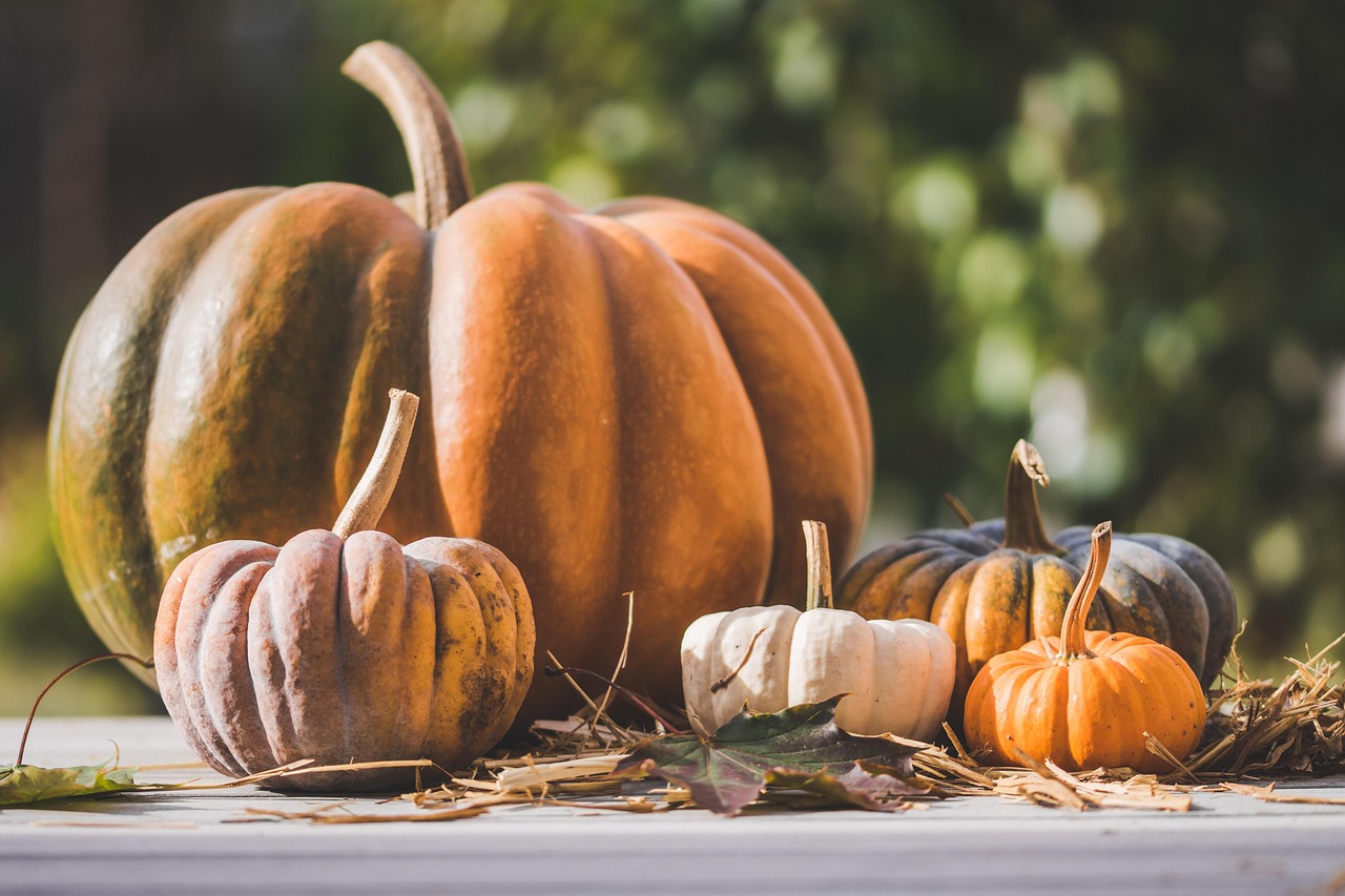 Quels légumes de saison cuisiner en février ?